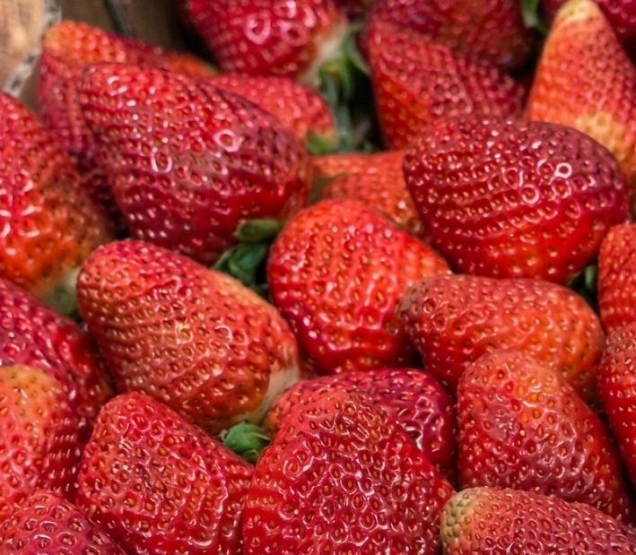 Frutas de estación frescas